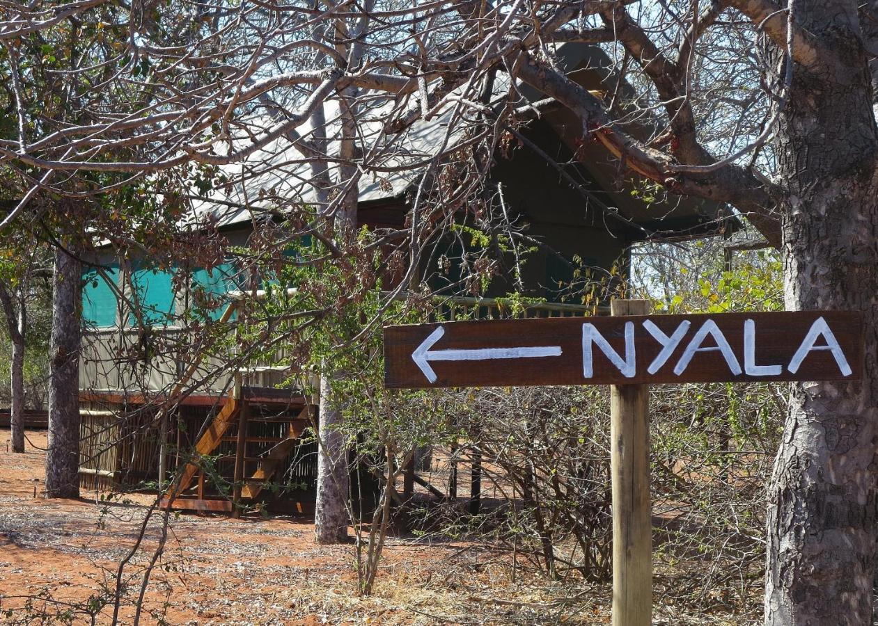 Iphofolo Lodge & Tented Camp Vivo Eksteriør bilde