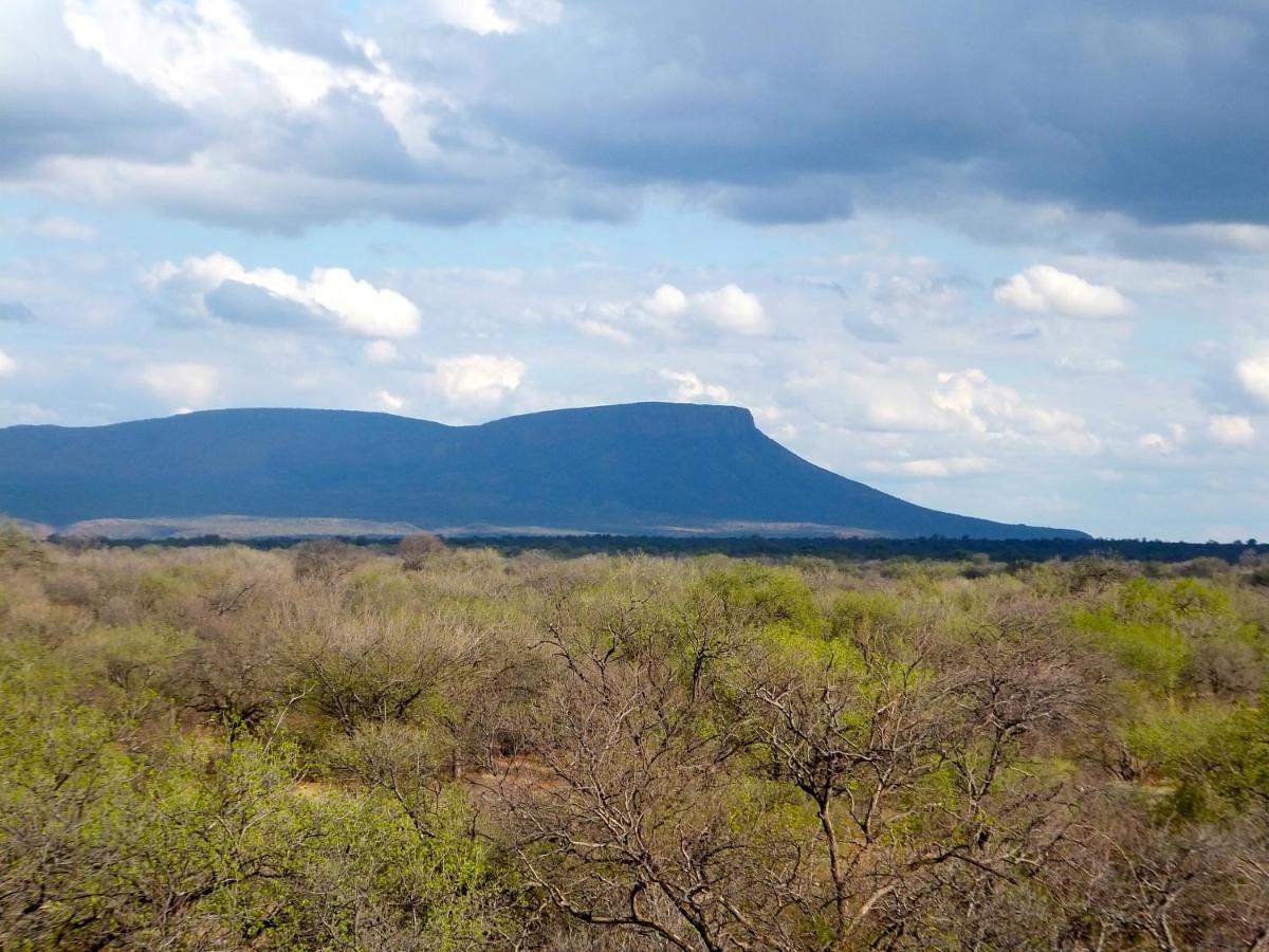 Iphofolo Lodge & Tented Camp Vivo Eksteriør bilde