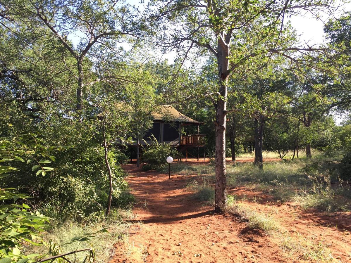 Iphofolo Lodge & Tented Camp Vivo Eksteriør bilde