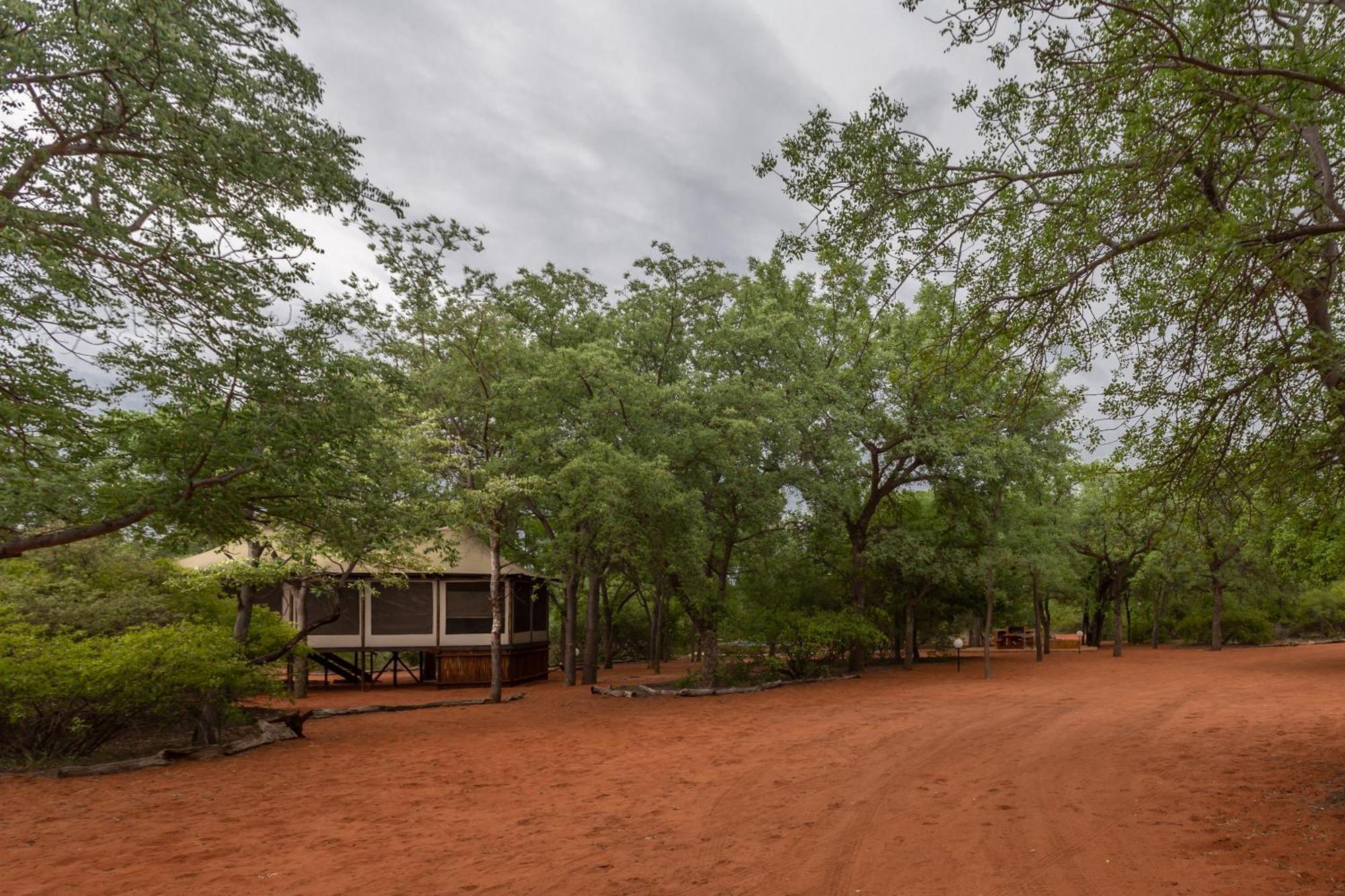 Iphofolo Lodge & Tented Camp Vivo Eksteriør bilde