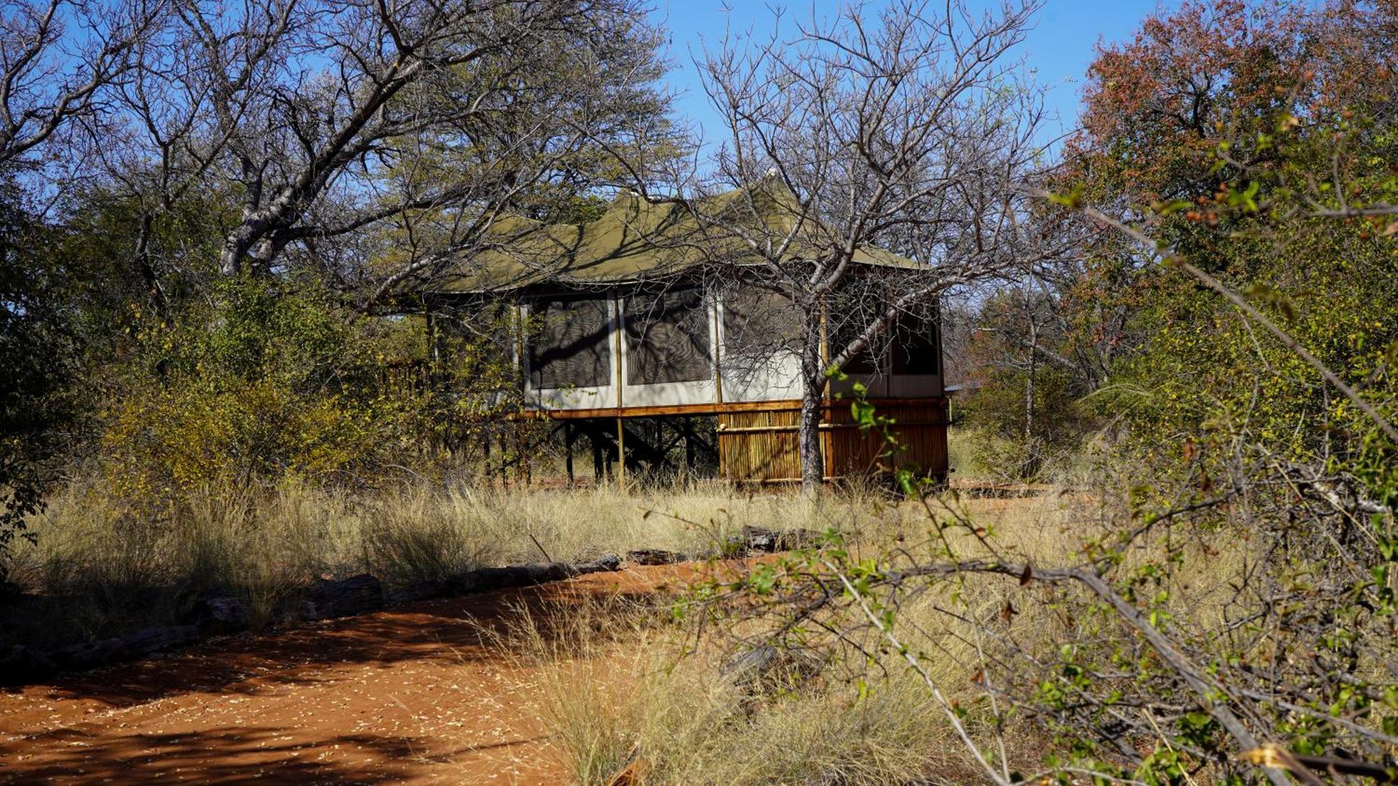 Iphofolo Lodge & Tented Camp Vivo Eksteriør bilde