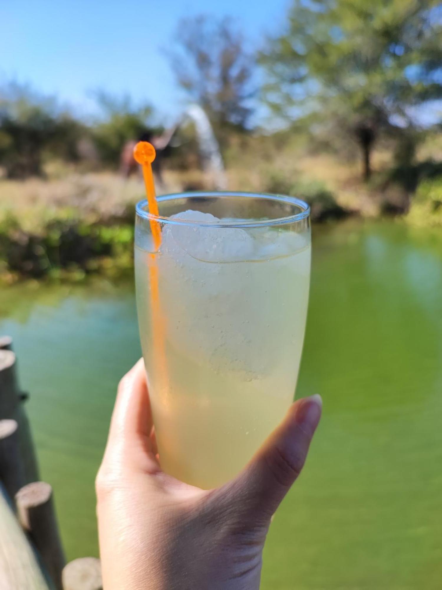 Iphofolo Lodge & Tented Camp Vivo Eksteriør bilde